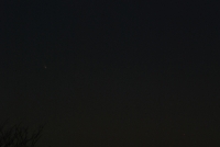Comet and Tree #1