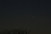 PanSTARRS Bright Nucleus #1