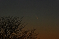 25 Second Exposure of PanSTARRS