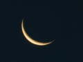 Crescent Moon