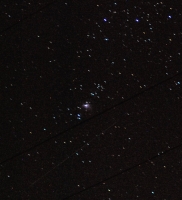 Orion Nebula, Belt & Meteor