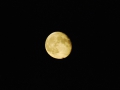 Moon Cropped #2